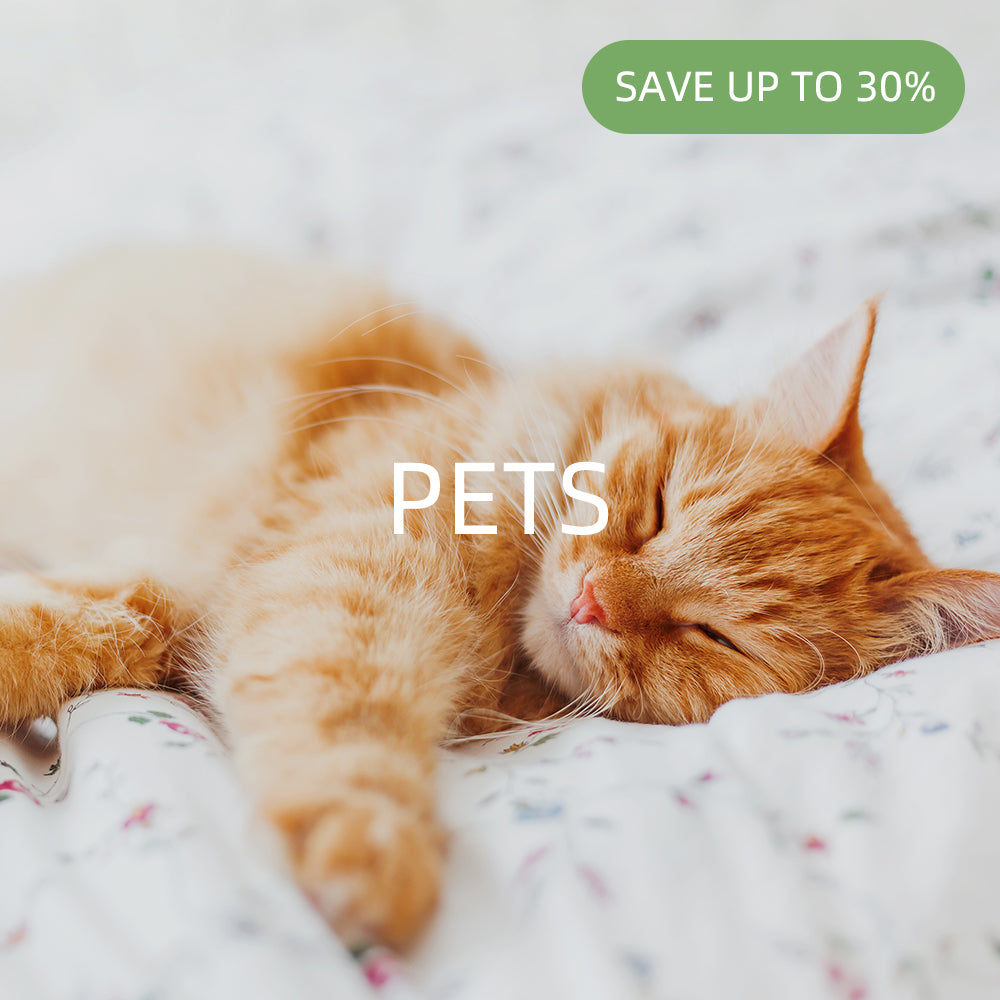Pet Bed